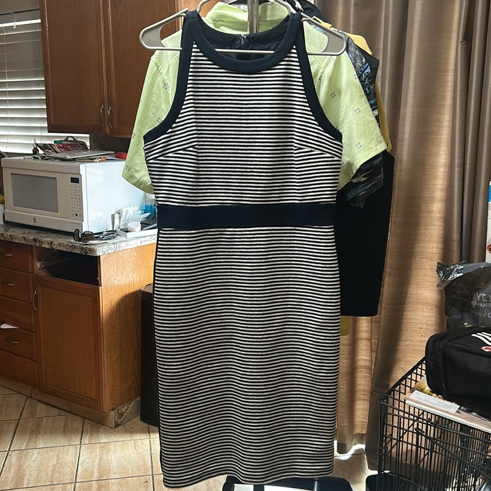 Ann Taylor dress